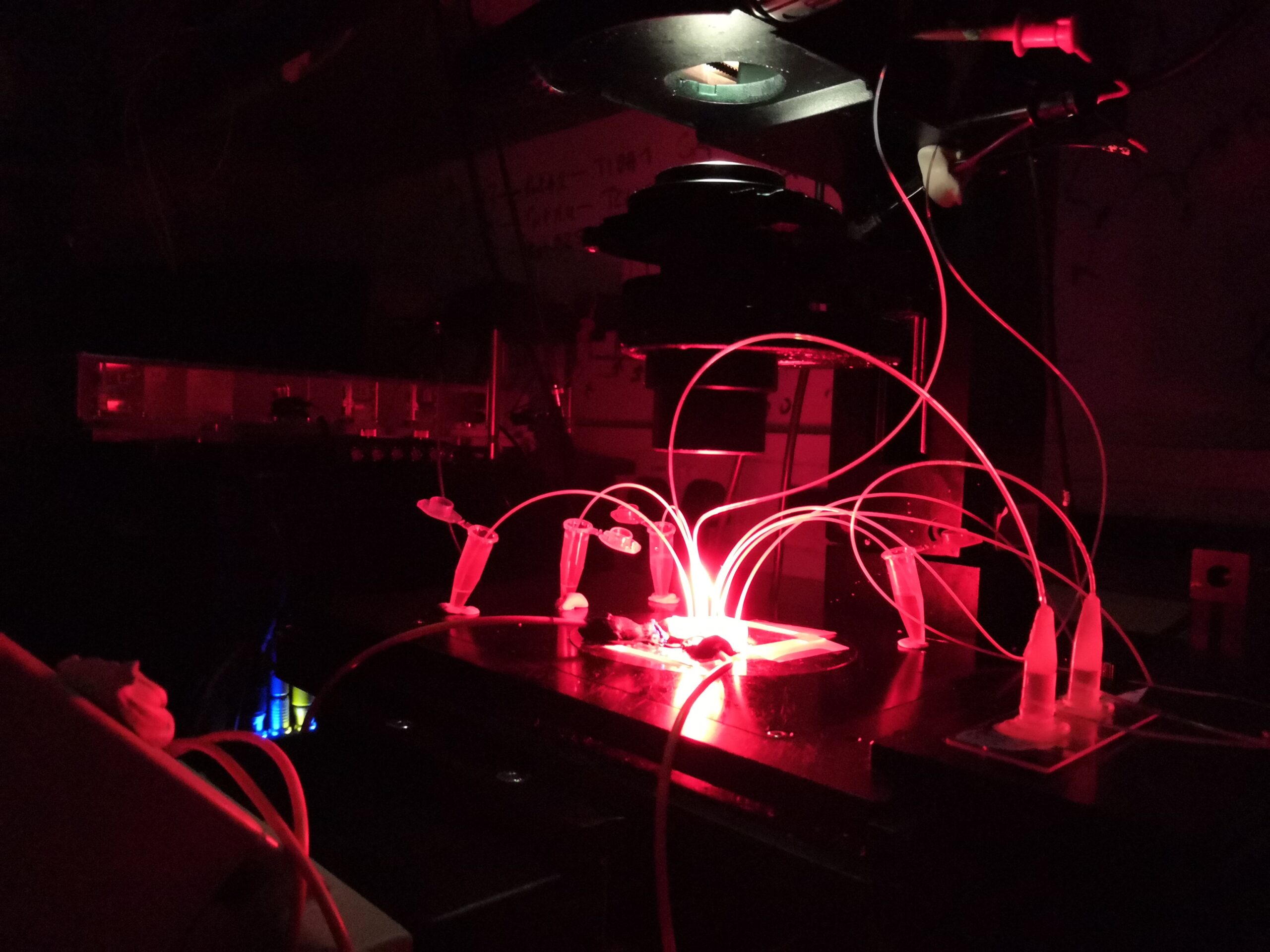 A dark lab space with tubes coming out of a bench below a machine and illuminated with a red light