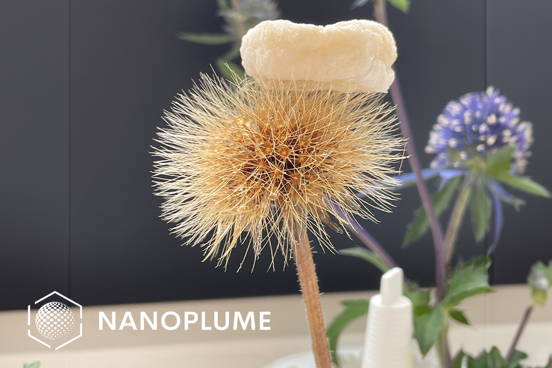 2-nanoplume-insulation-resident-colabs-journey_IF1080